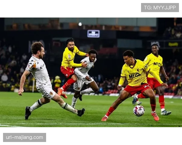 特写瞬间：沃特福德绝杀保级对手后，主场球迷涌入球场庆祝